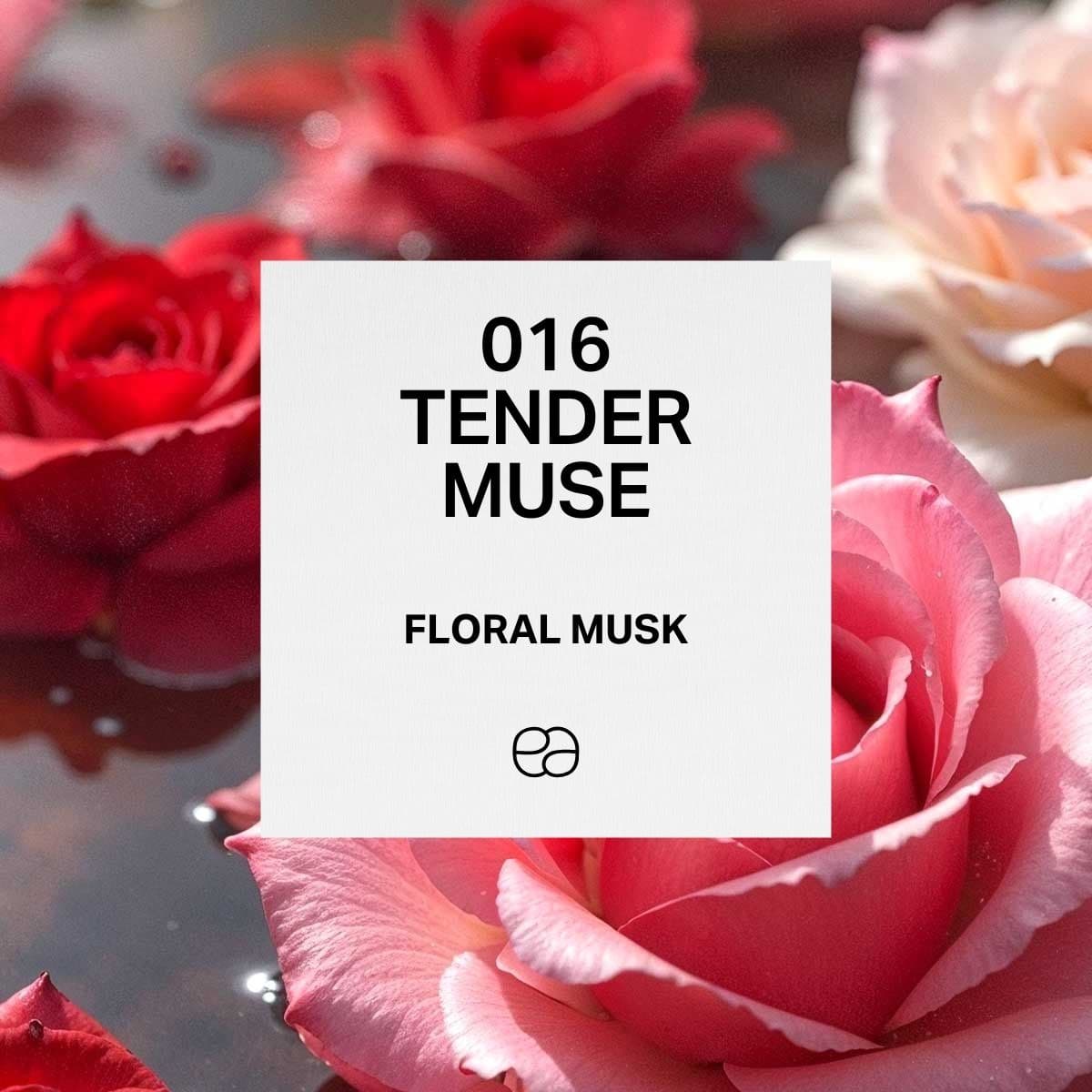 016 Tender Muse - 1