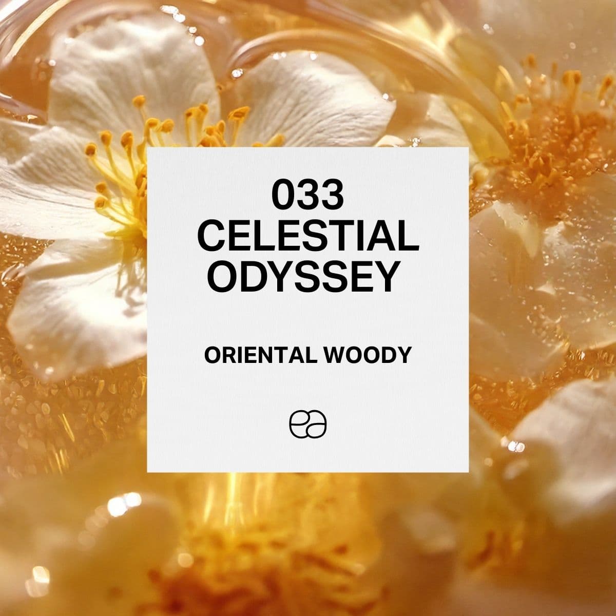 033 Celestial Odyssey - 1