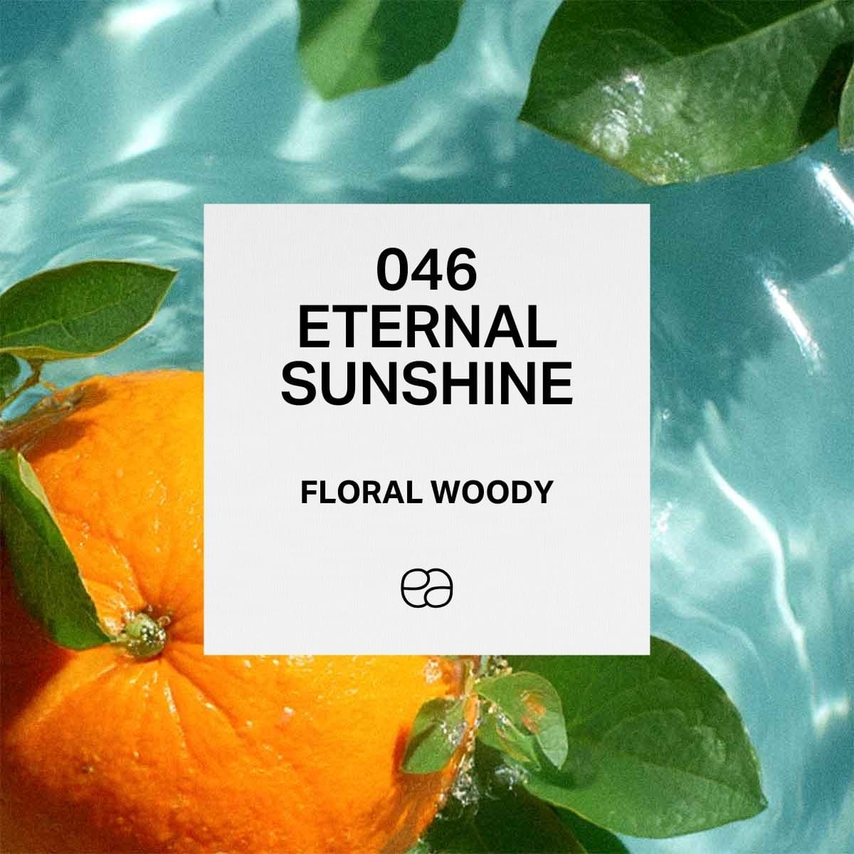 046 Eternal Sunshine - 1