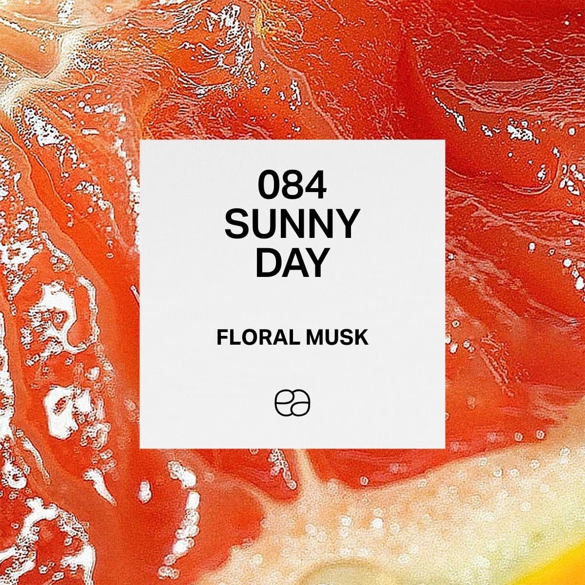 084 Sunny Day - 1