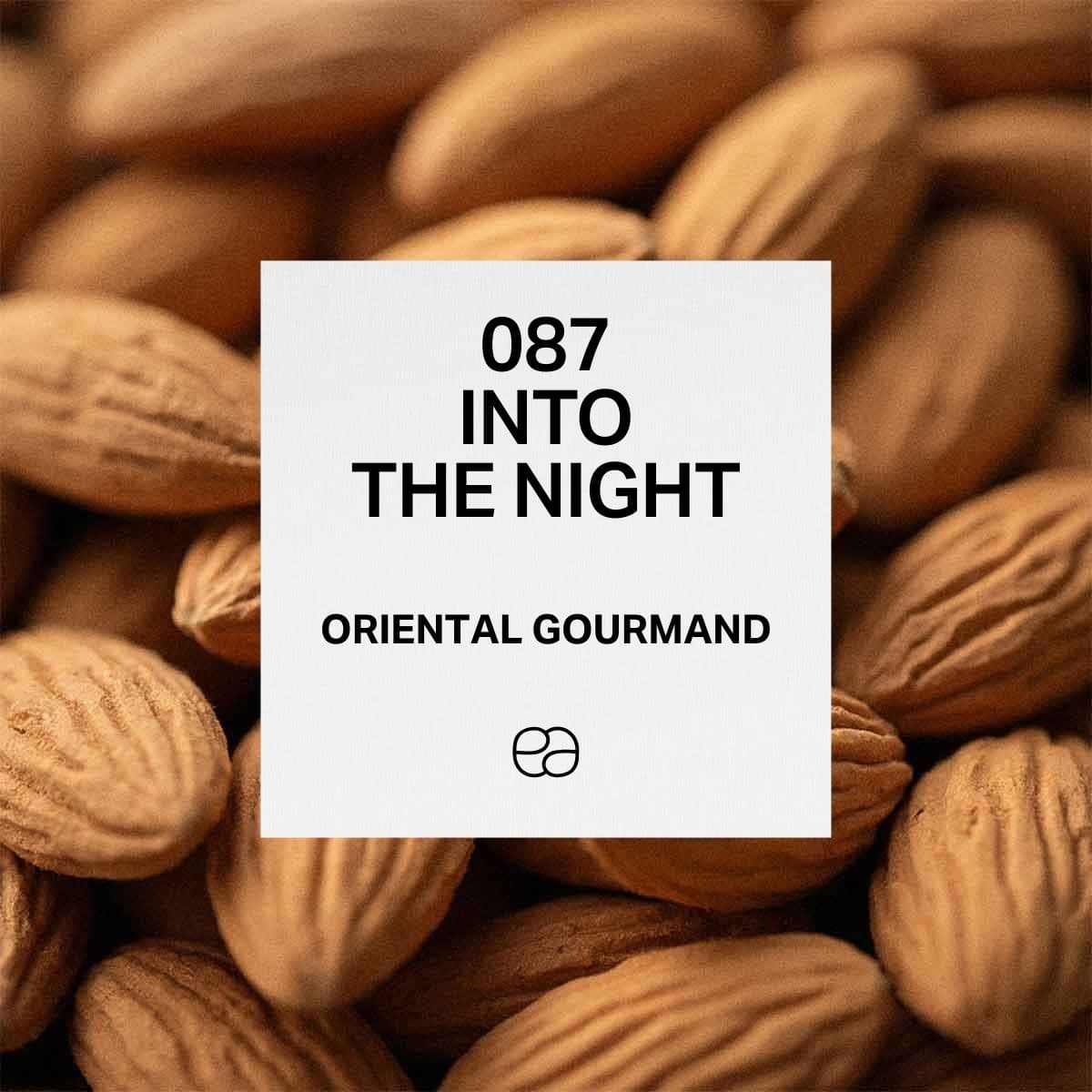 087 Into The Night - 1