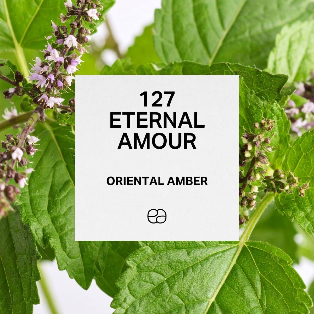 127 Eternal Amour - 1