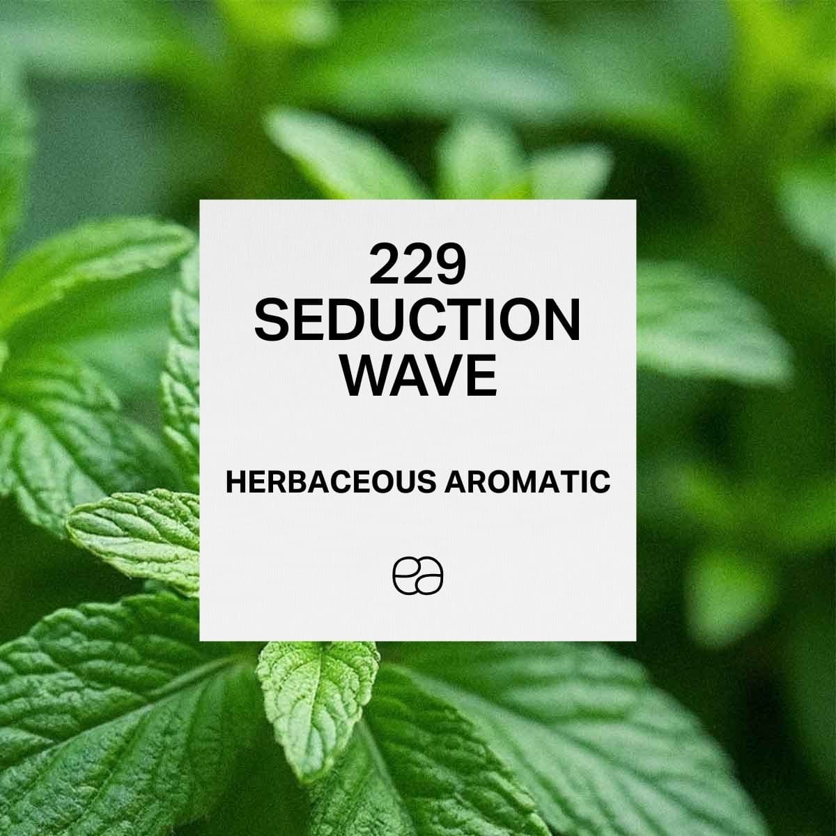 229 Seduction Wave - 1