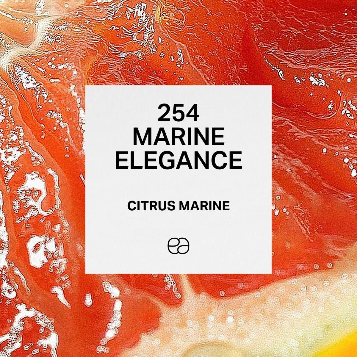 254 Marine Elegance - 1