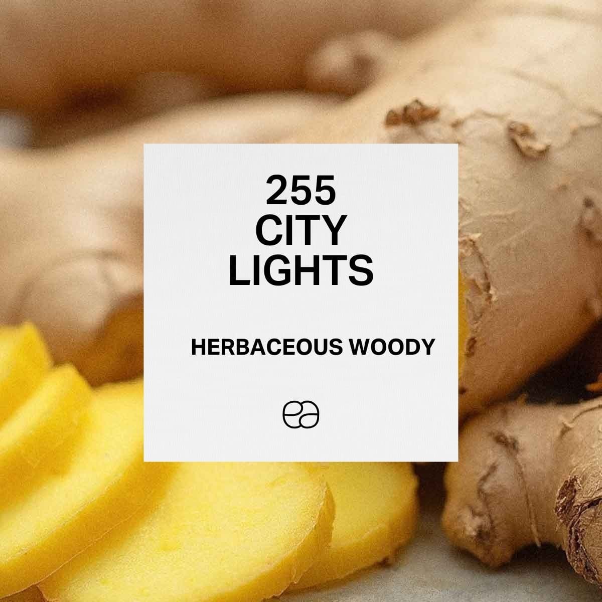 255 City Lights - 1