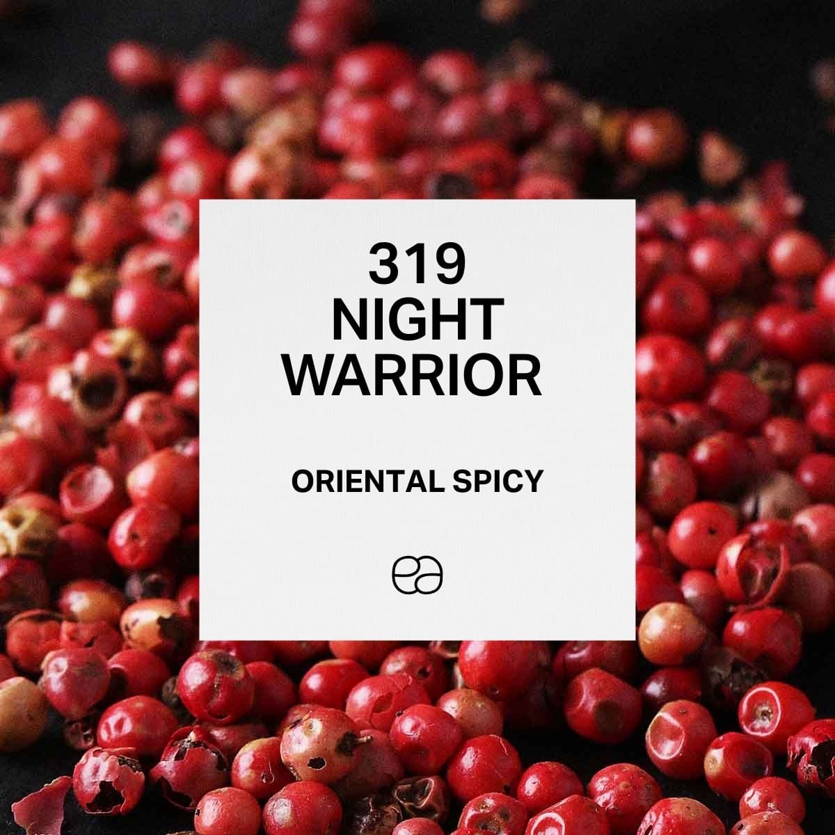 319 Night Warrior - 1