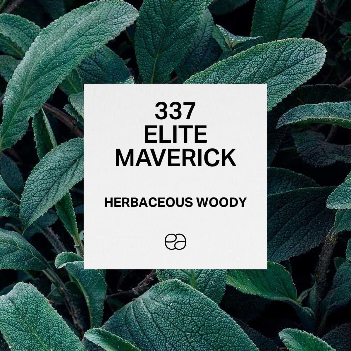 337 Elite Maverick - 1