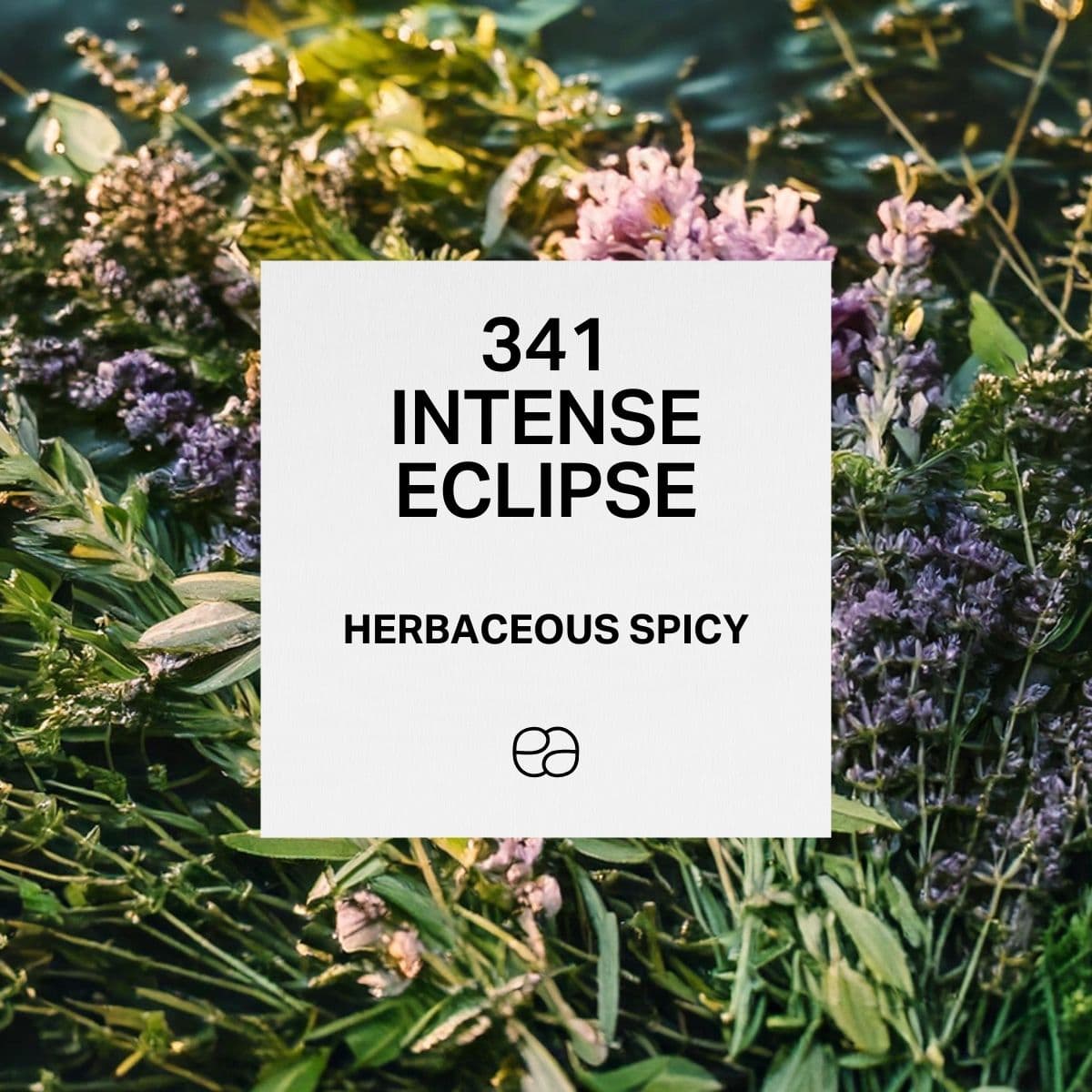 341 Intense Eclipse - 1