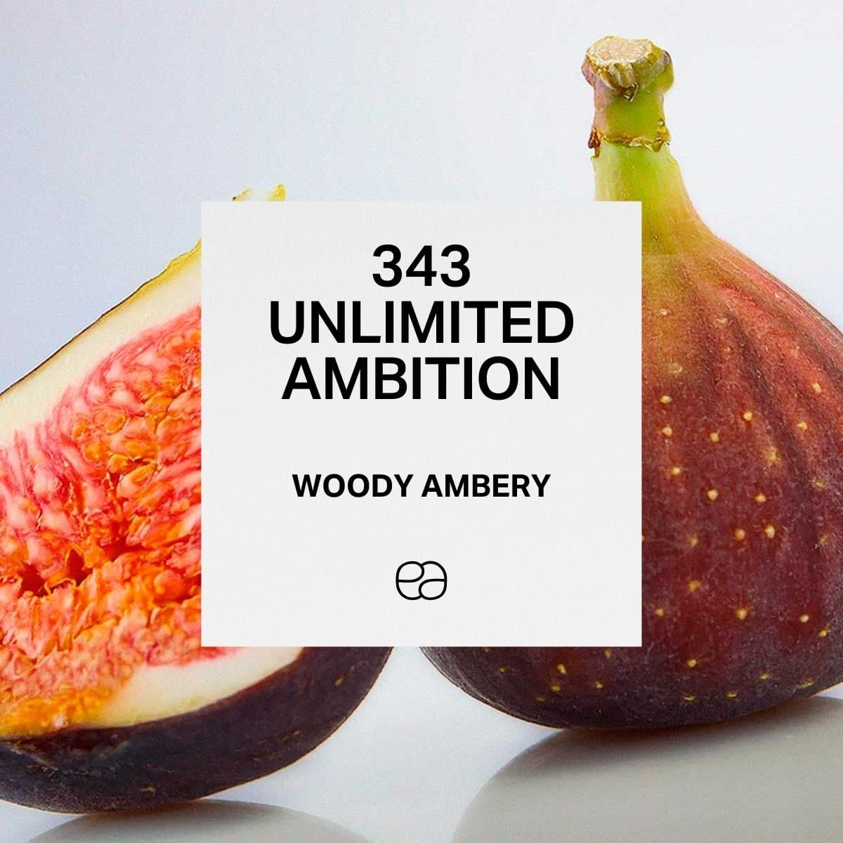 343 Unlimited Ambition - 1