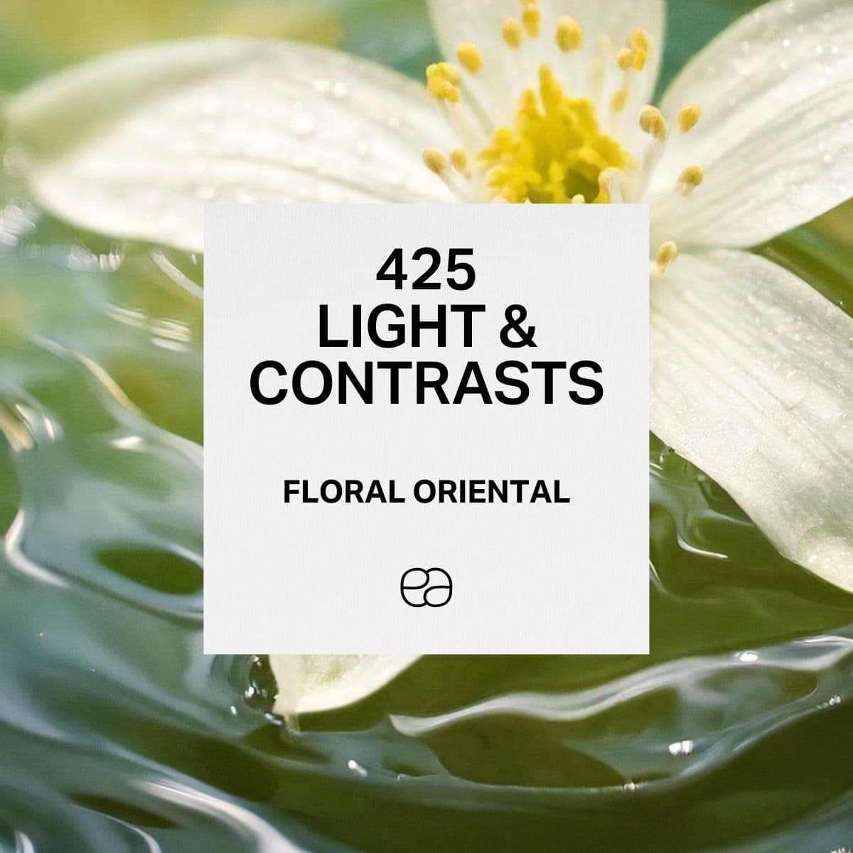 425 Light & Contrasts - 1