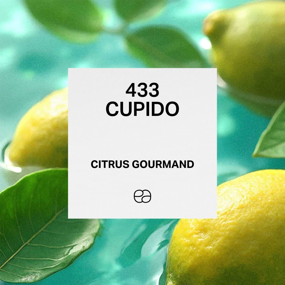 433 Cupido - 1