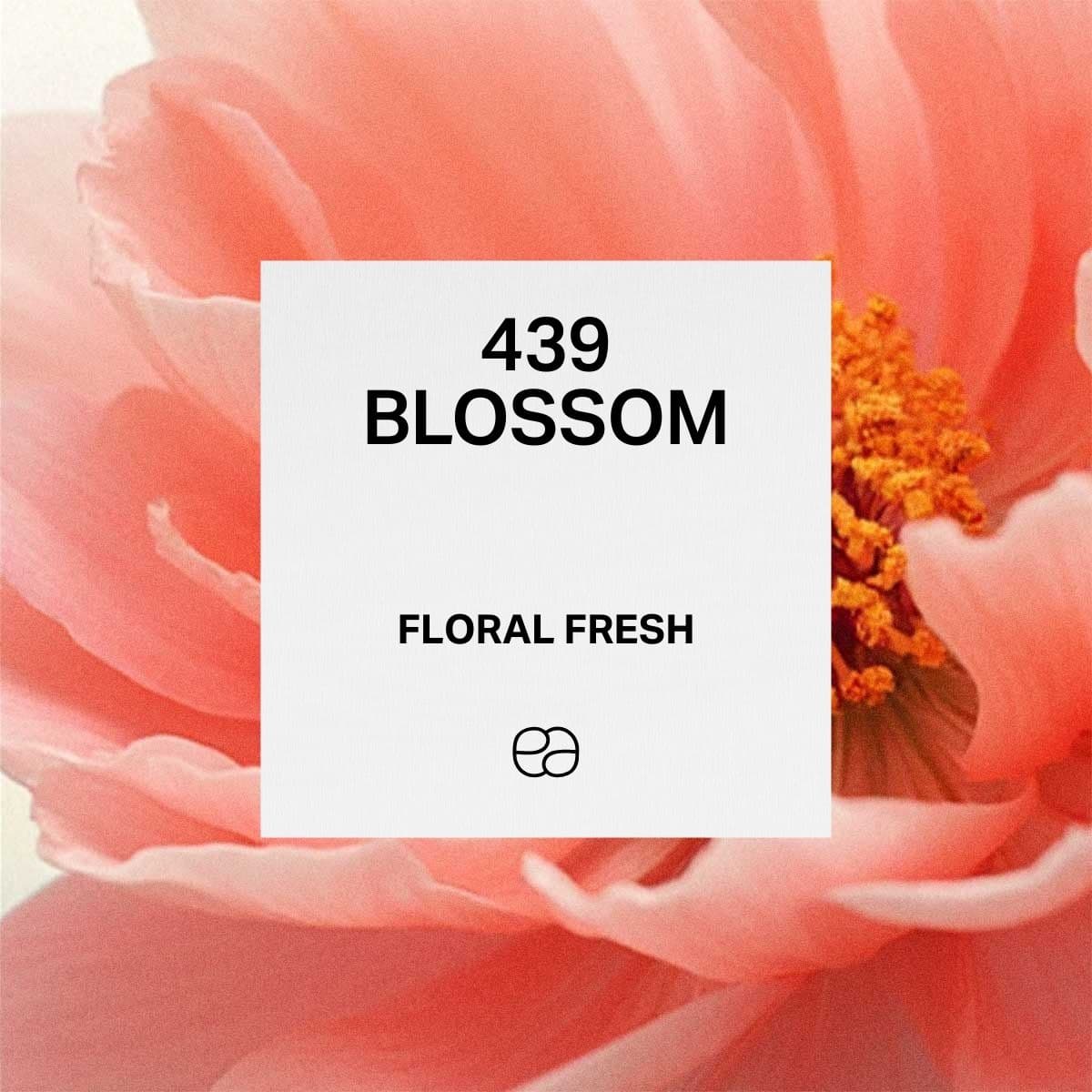 439 Blossom - 1