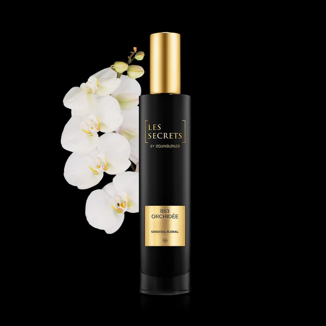 883 Orchidée - 1