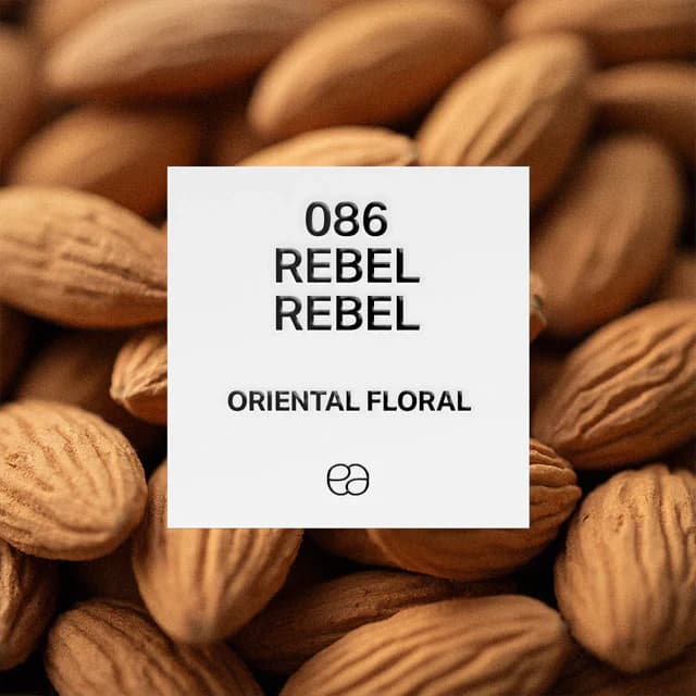 086 Rebel Rebel - 1