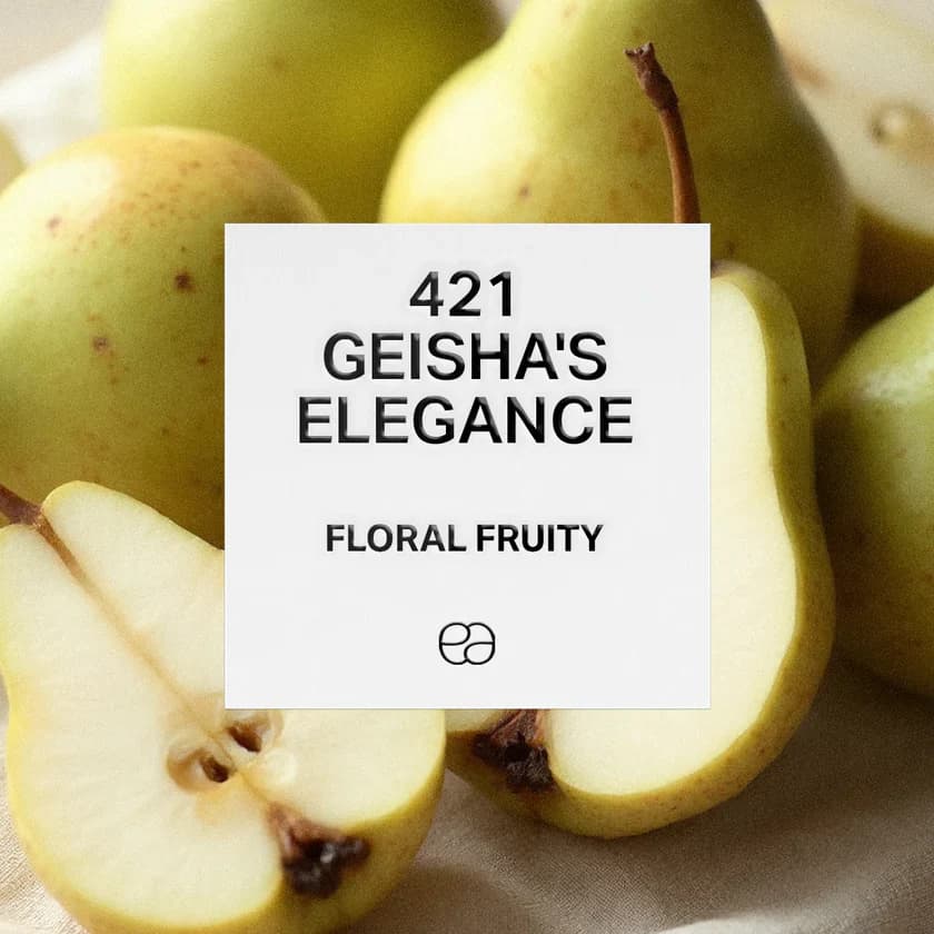 421 Geisha's Elegance - 1